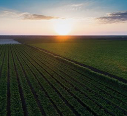 Large farmland landscape